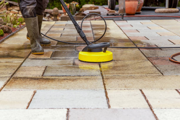 Animal Enclosure Cleaning in Fort Wayne, IN