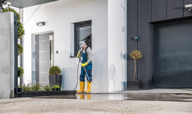 Best Soft Washing  in Fort Wayne, IN